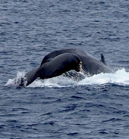 4840359895584328390.25a63a88ecb82f0754c441bd4a9d5f41.23011808